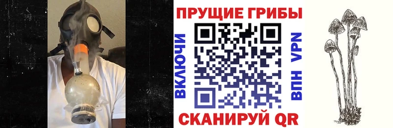 Галлюциногенные грибы MAGIC MUSHROOMS  Купить где  Нурлат 